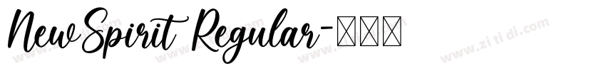 NewSpirit Regular字体转换